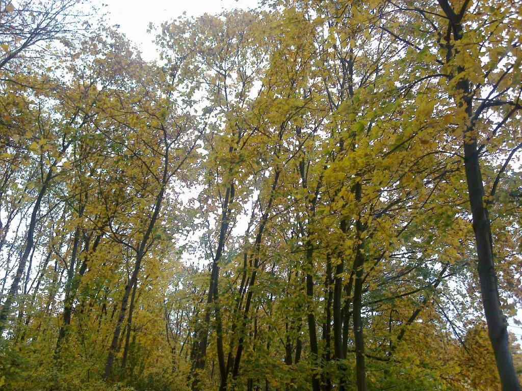 Verticalitatea adevarului interior