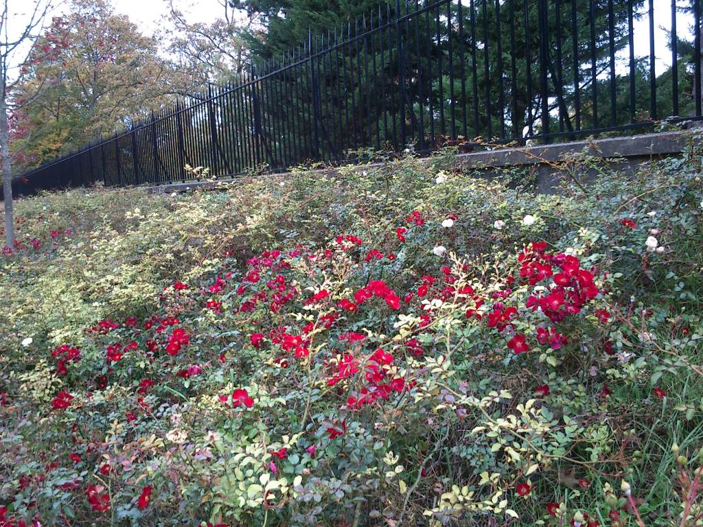 Sfarsitul incapabil de a lua&nbsp;sfarsit