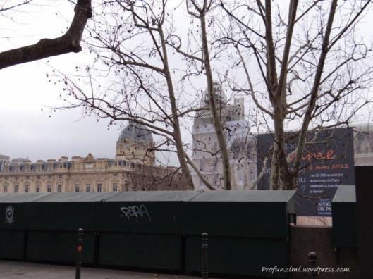 Paris - pe malul Senei