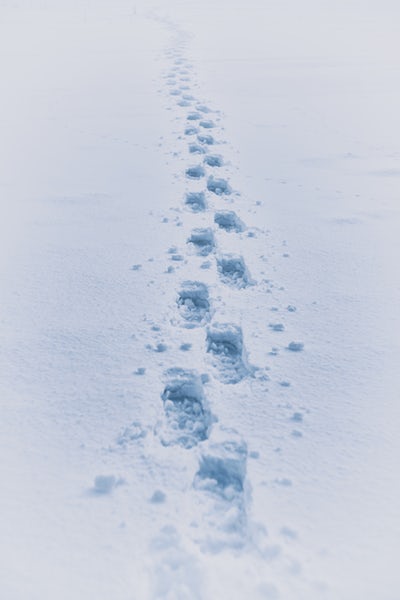 „Ne-mai-fi-fost”