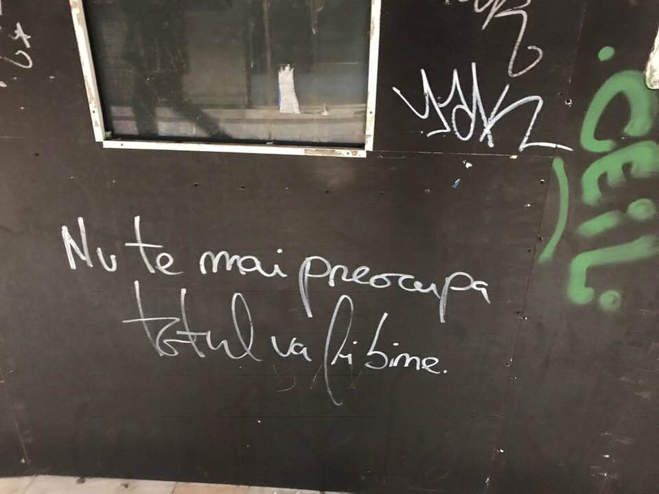 Locuiesc într-un cartier cu&nbsp;câini