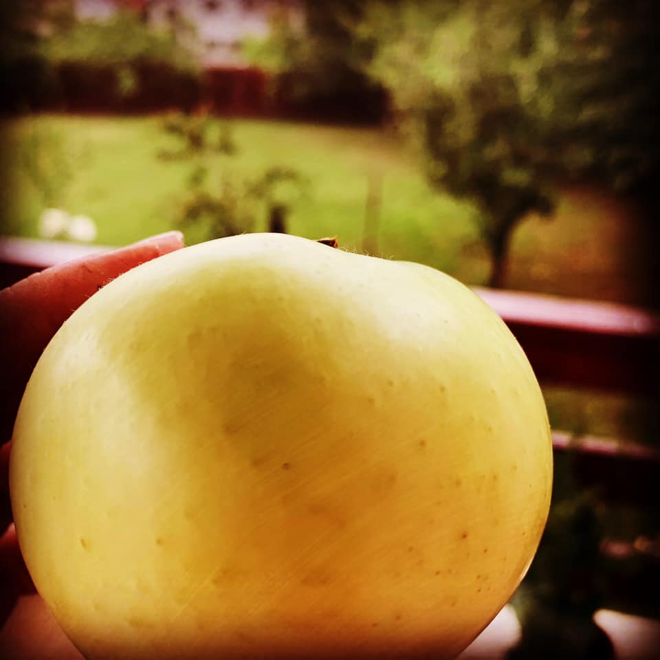 Vedeți fotografia cu mărul?