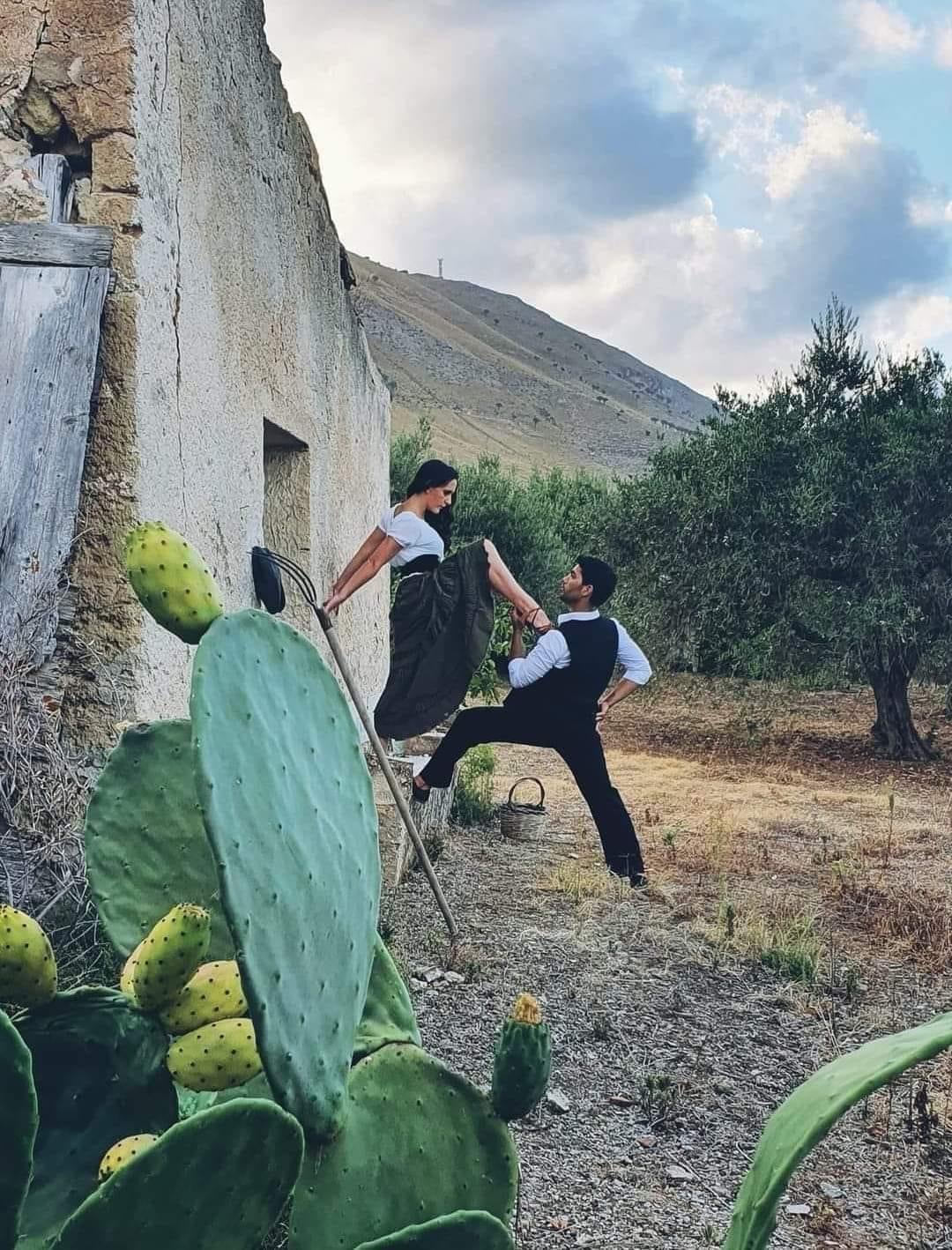 Cactus