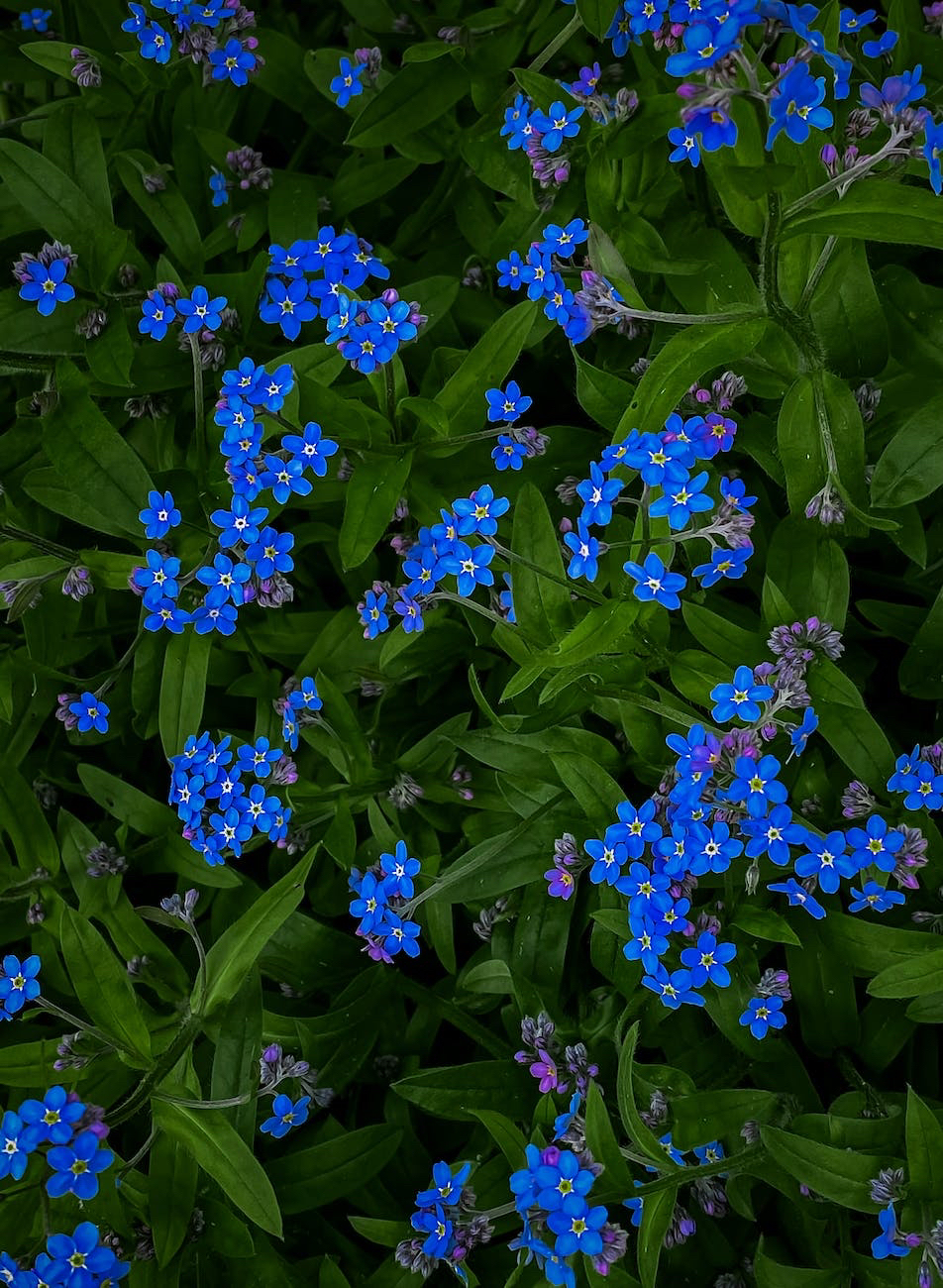 Oameni pe care i-am&nbsp;uitat