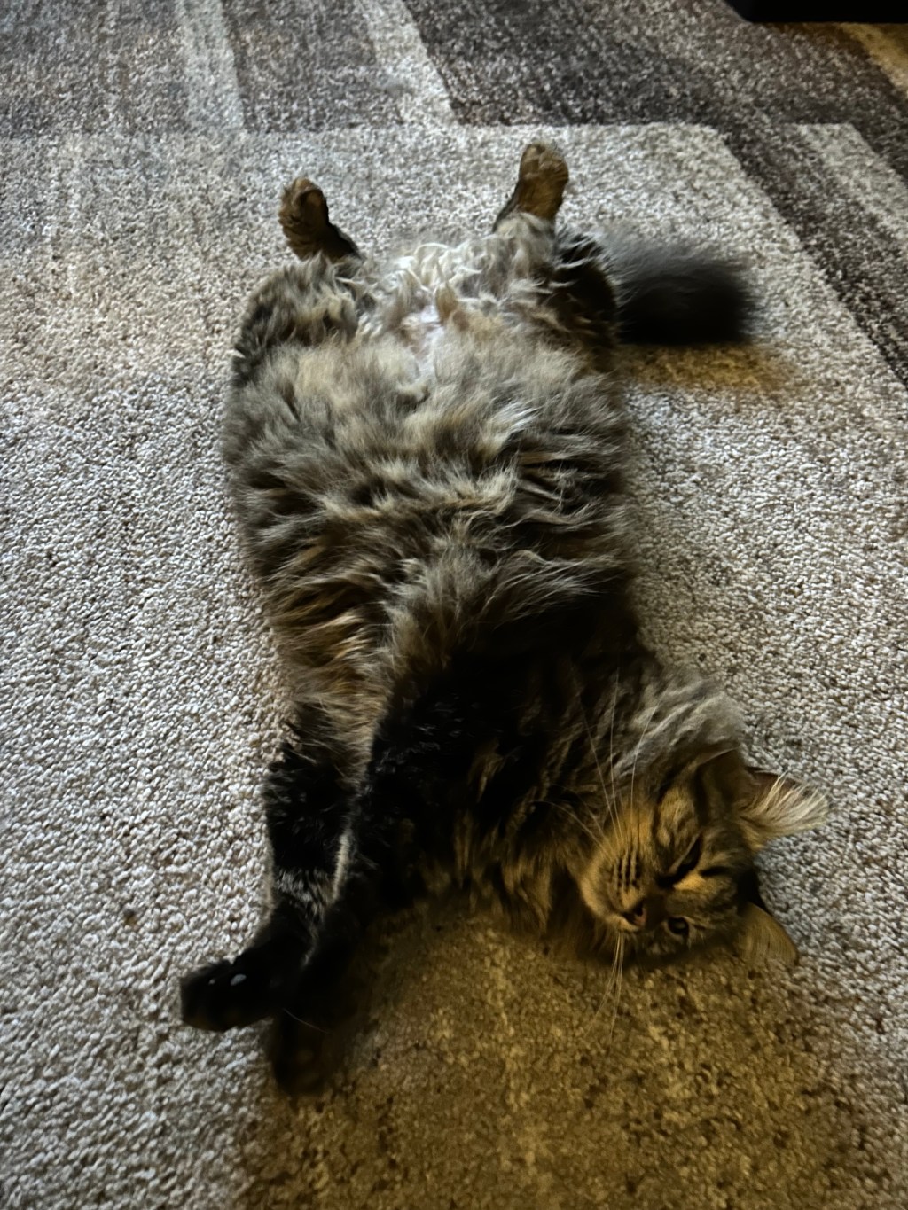 Jurnal de început de&nbsp;noiembrie