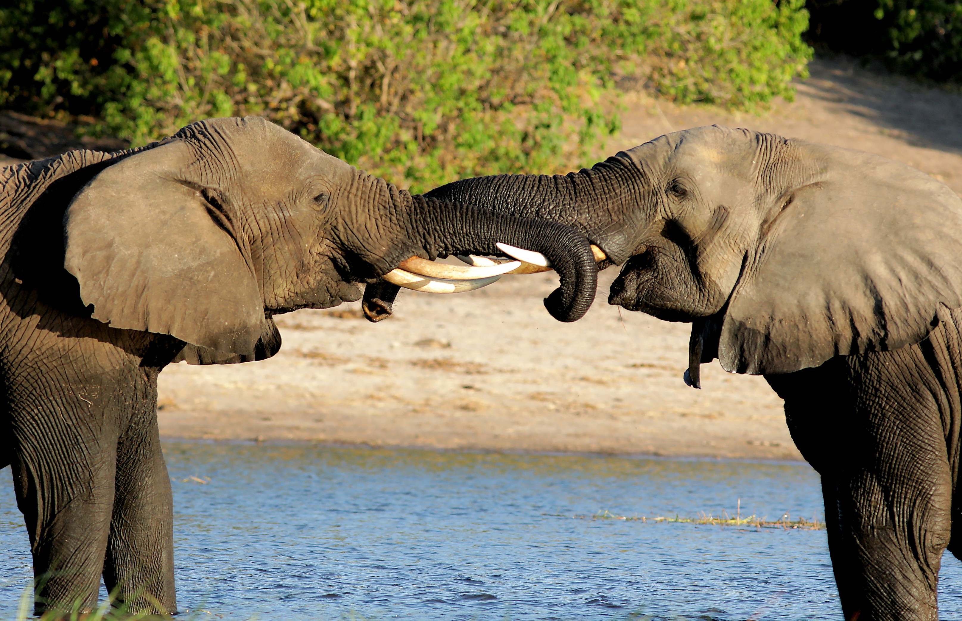Botswana