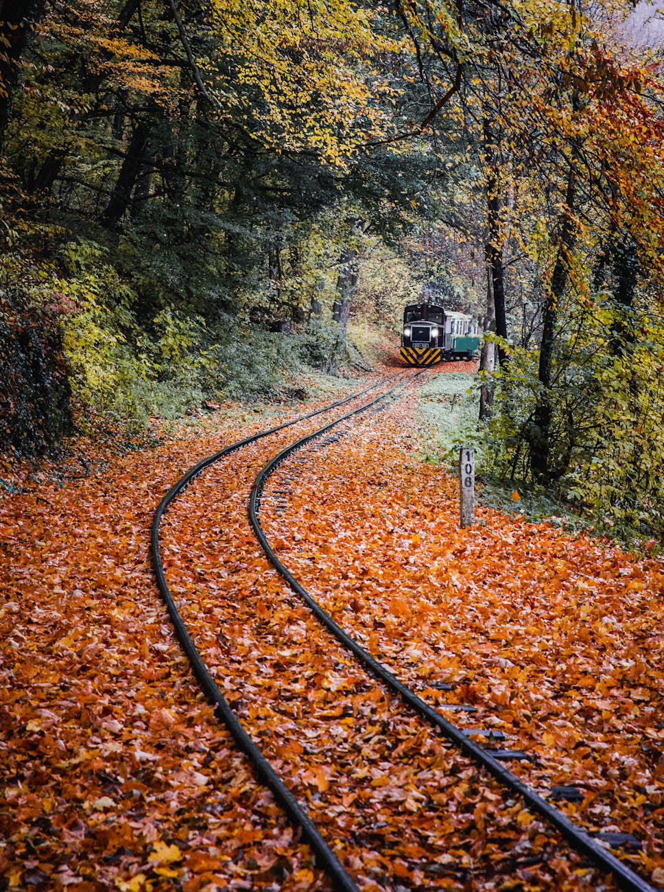 Șina