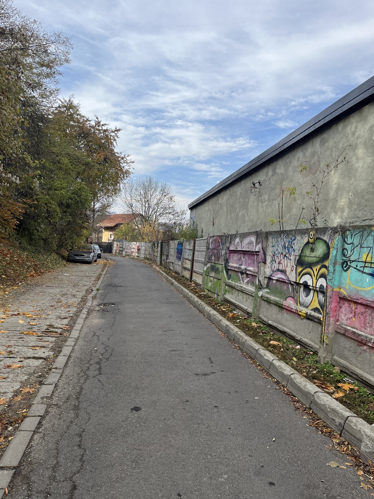 Grafitti
