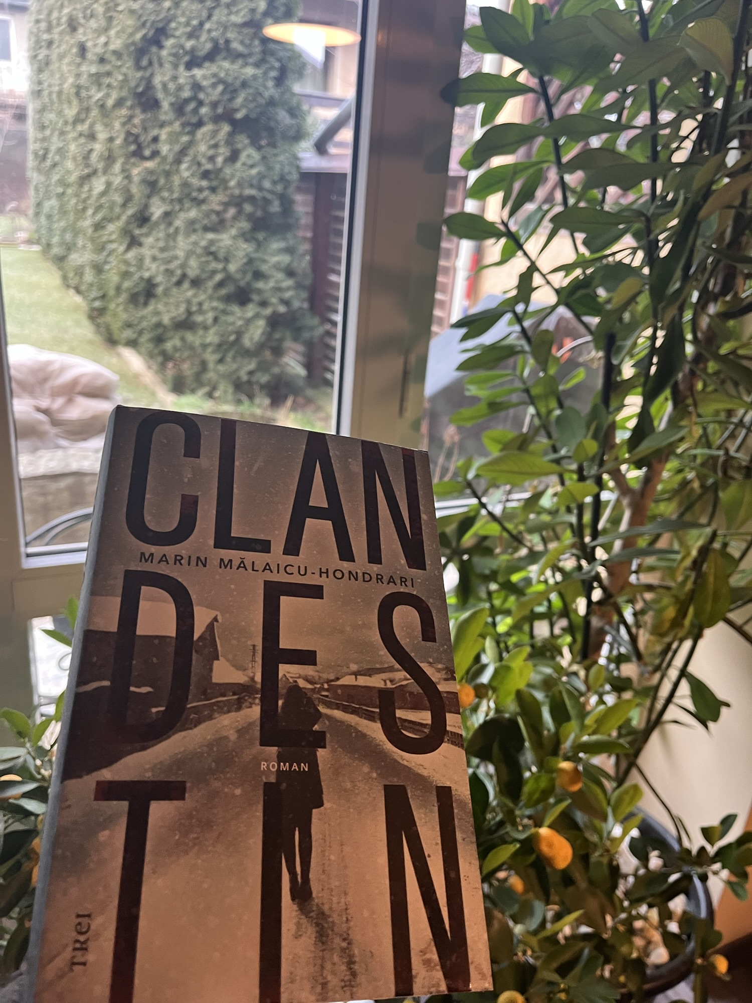 Ce am mai citit : Clandestin