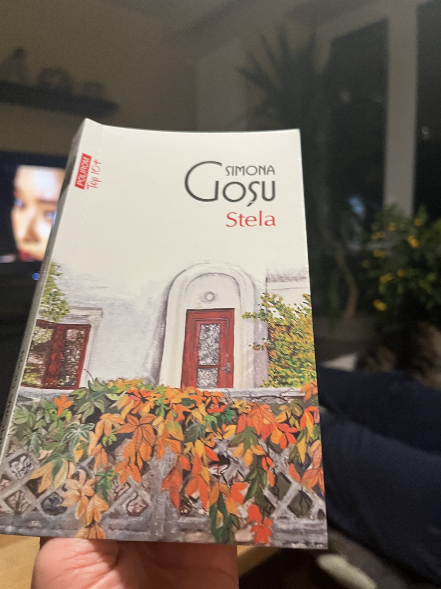 Ce am mai citit : Stela