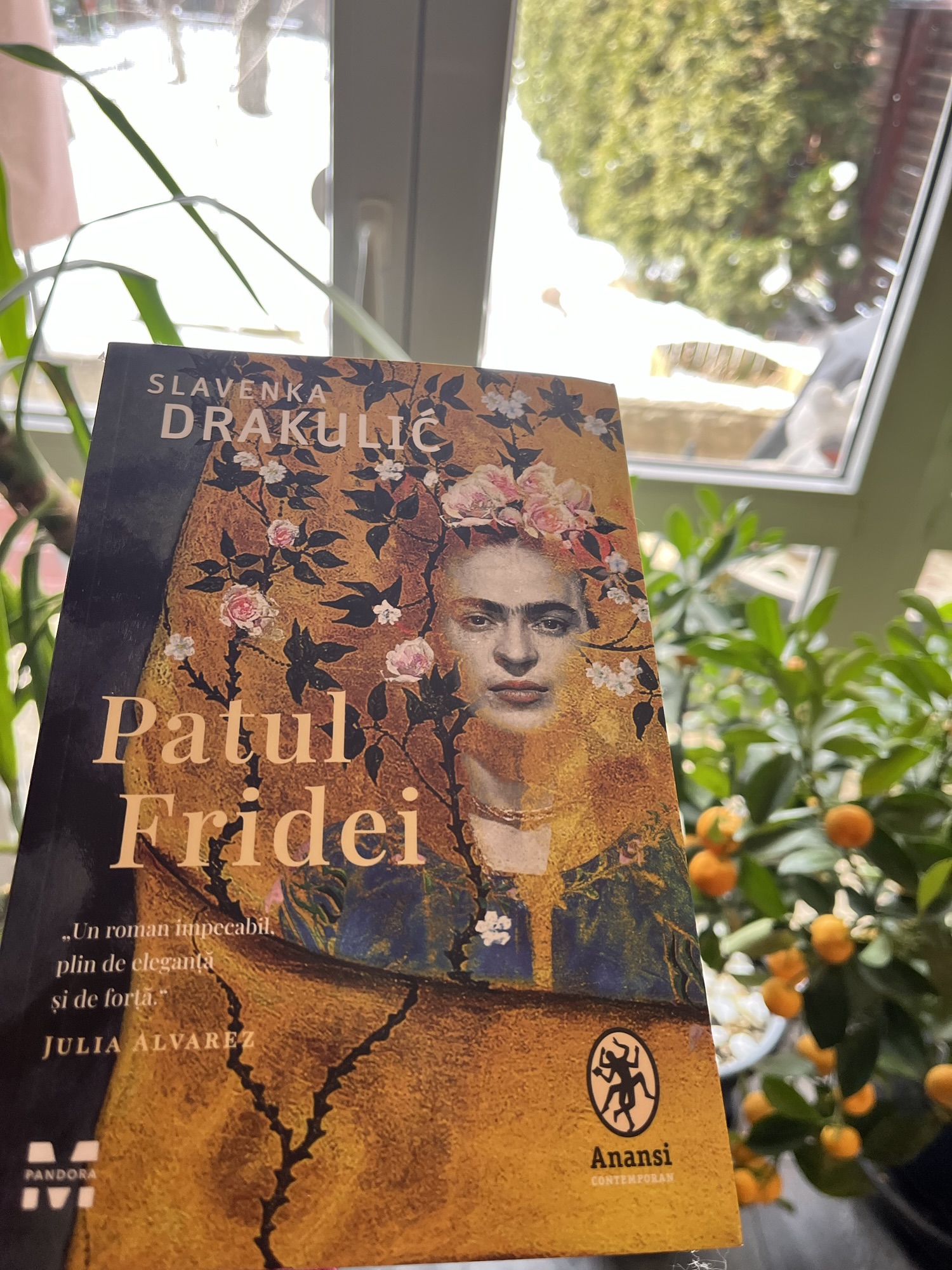 Ce am mai citit: “Patul Fridei”