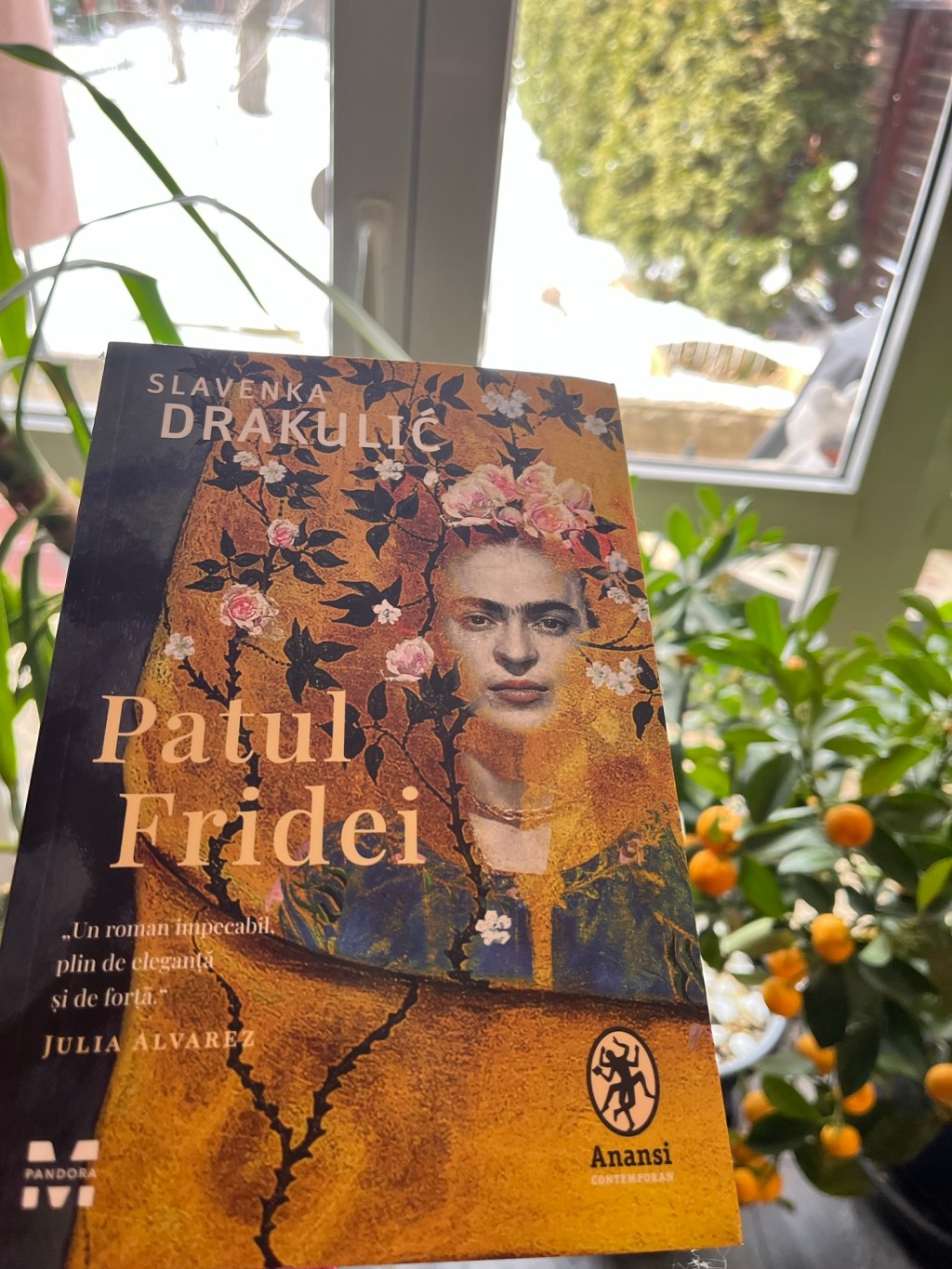 Ce am mai citit: “Patul&nbsp;Fridei”