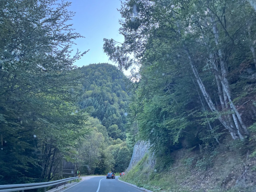 Jurnal de Muntenegru&nbsp;(7)