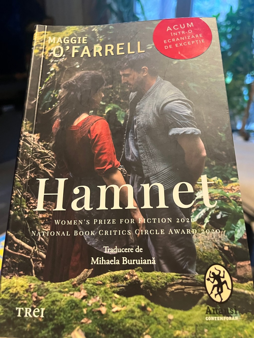 Jurnal de cititor –&nbsp;Hamnet